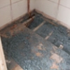 Loose Fill Asbestos